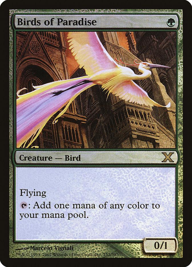 Birds of Paradise | 10th Edition Foil | Modern | Card Kingdom