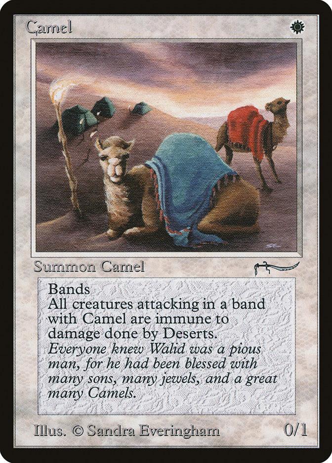 mtg arabian nights cards 1993 Magic the Gathering Piety C3 W Dark 1 BGS 8.5 Mint / near mint condition trading card Camel (EX)