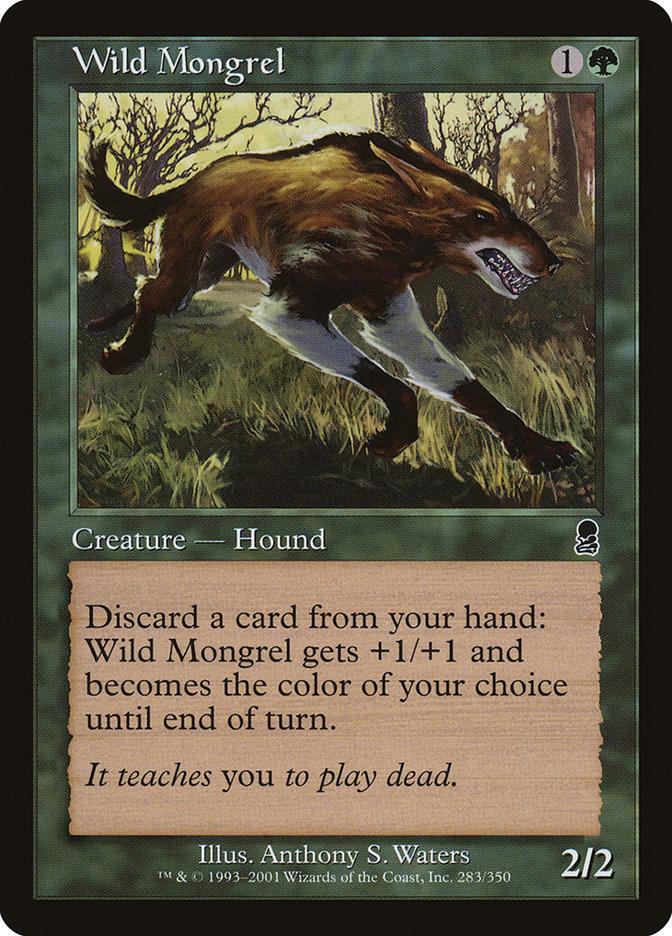 野生の雑種犬/Wild Mongrel Foil 英語 4枚 MTG Wild Mongrel | Odyssey Foil | Card Kingdom