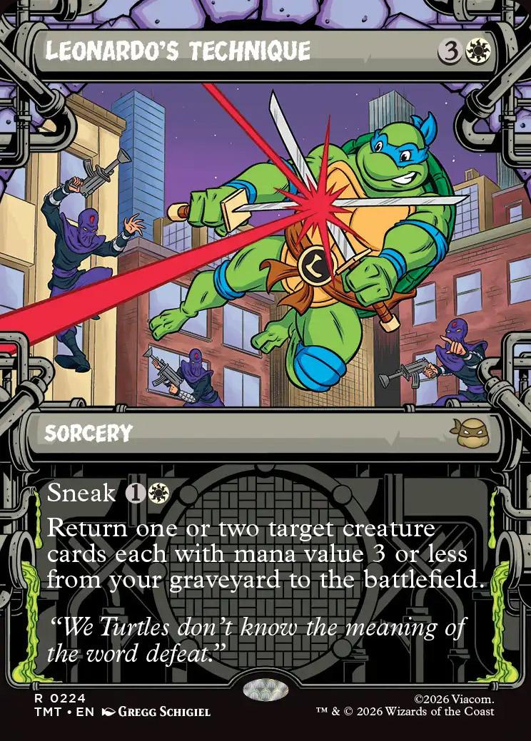 Teenage Mutant Ninja Turtles Variants: Leonardo's Technique (0224