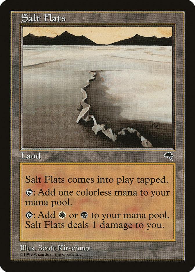 salty mtg cards Swamp 272/281 Foil - AFR