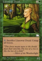 Forest | Magic 30th Anniversary Edition | Card Kingdom